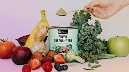 The Best Green Superfood Powders and their 7 Top Health Benefits