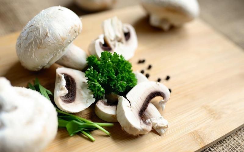 What Are Medicinal Mushrooms?