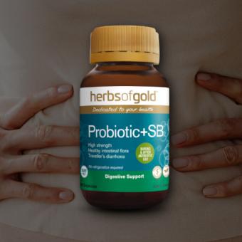 SB – the travel buddy for your gut!