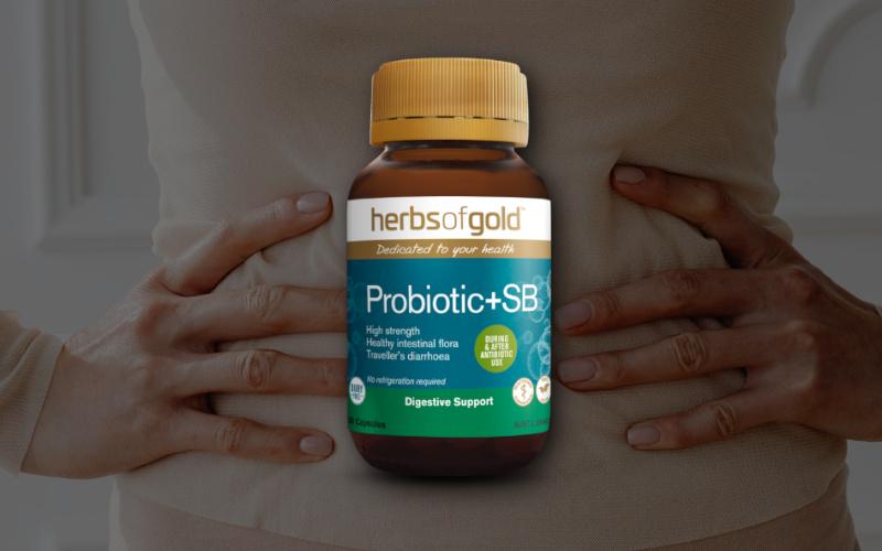 SB – the travel buddy for your gut!