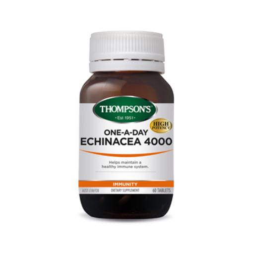 Thompson's Echinacea 4000mg | One-A-Day